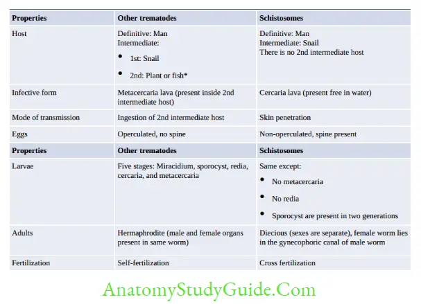 Cestodes And Trematodes Notes - Anatomy Study Guide