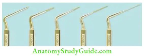 Cleaning And Shaping Of Root Canal System Endosonic tips.