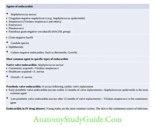 Clinical Microbiology Agents of endocarditis