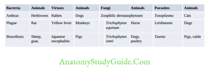 Clinical Microbiology Important zoonotic infections affecting human beings and their usual