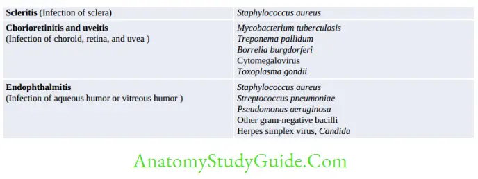 Clinical Microbiology Ocular infections and their causative agents 1