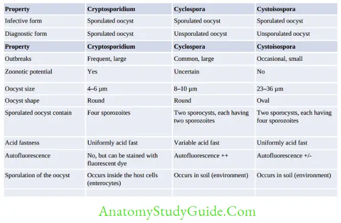 Coccidian Parasites Differences between Cryptosporidium, Cyclospora and Cystoisospora