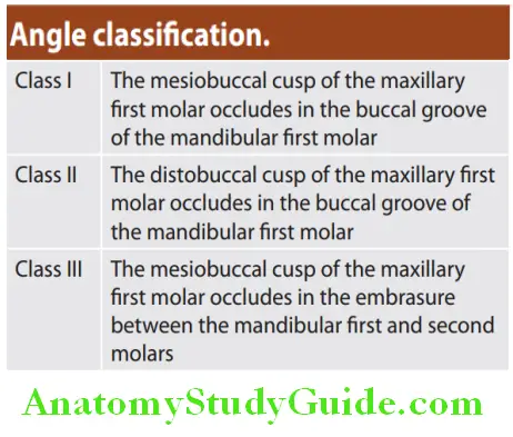 Complete Denture Occlusion An Overview angle classification