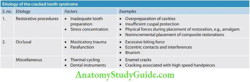 Crack Tooth Syndrome And Vertical Root Fracture Etiology of The Cracked Tooth Syndrome