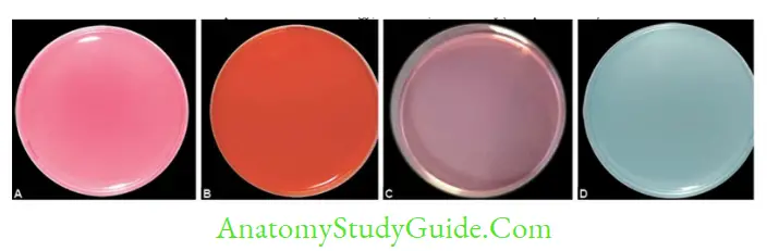 Culture Media and Methods, Identification of Bacteria by Conventional,Automated and Molecular Methods A. DCA B. XLD agar; C. MacConkey agar; D. CLED agar