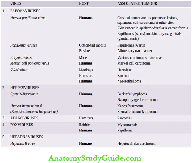 DNA Oncogenic Viruses 10 DNA Oncogenic Viruses