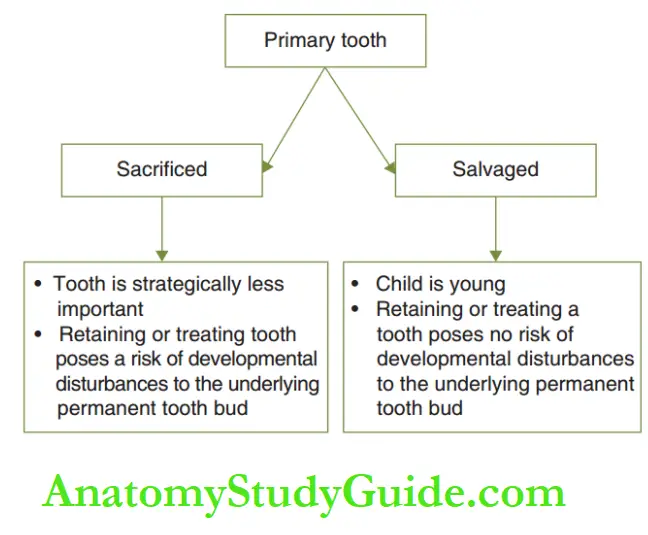 Dental Injuries in Primary dentition Decision making for treatment of a traumatised primary tooth