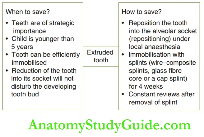 Dental Injuries in Primary dentition When and how to save an extruded primary tooth.