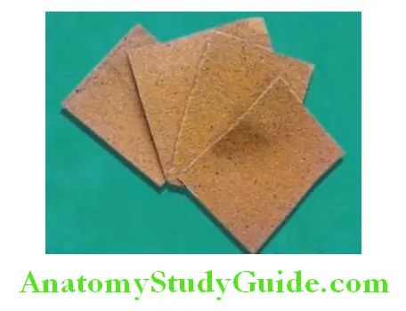 Dental Materials Used In Prosthodontics sandpaper