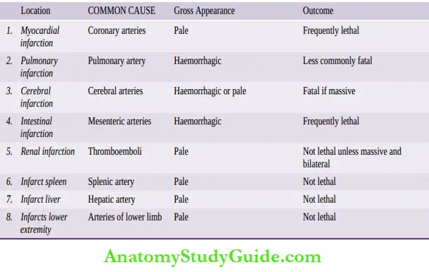 Pathogenesis Infarction Classification Notes - Anatomy Study Guide