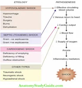 Haemorrhagic Shock And Its Subtypes Notes - Anatomy Study Guide