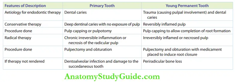 Diagnosis Of Pulpal Pathology Indications Of Endodontic Therapy