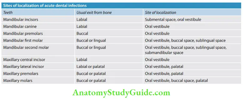 Diagnostic Procedures Sites of localization of acute dental infections