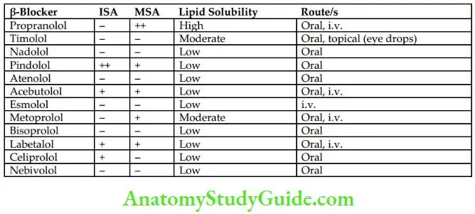 Drugs Acting On Autonomic Nervous System Beta Blockers With Important Features