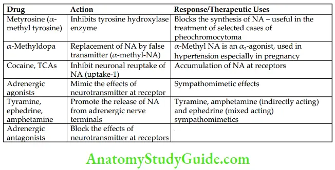 Drugs Acting On Autonomic Nervous System Drugs Affecting Adrenergic Transmission And Their Uses