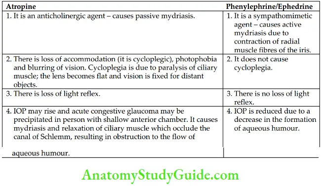 Drugs Acting On Autonomic Nervous System Effects Of Atropine And Phenylephrine Or Edhedrine On Eye