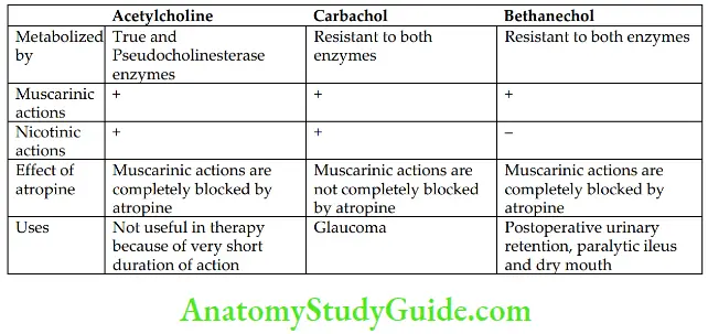 Drugs Acting On Autonomic Nervous System Pharmacological Properties And Use Of Choline Esters