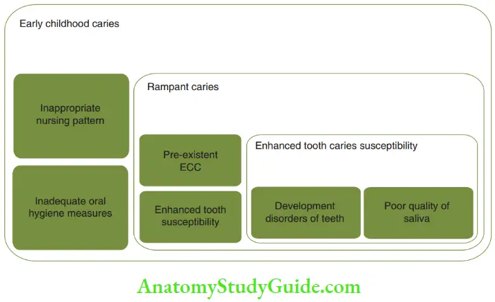 Early Childhood Caries Usage Of Terminologies early Childhood Caries And Rampant Caries