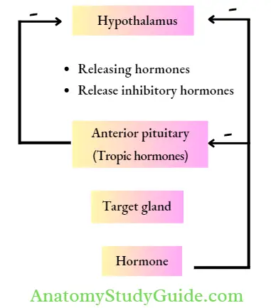 Pharmacogenomics In Endocrine Pharmacology Notes - Anatomy Study Guide