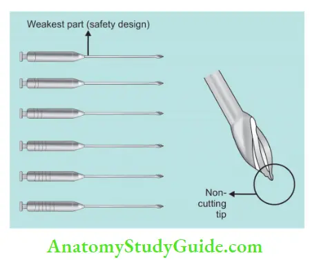 Endodontic Instruments Safety design feature of Gates Glidden drills showing non cutting flame shaped head and weakest portion at the junction of shank and shaft of the instrument.