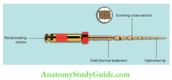 Endodontic Instruments characteristic features of WaveOne Gold fie.