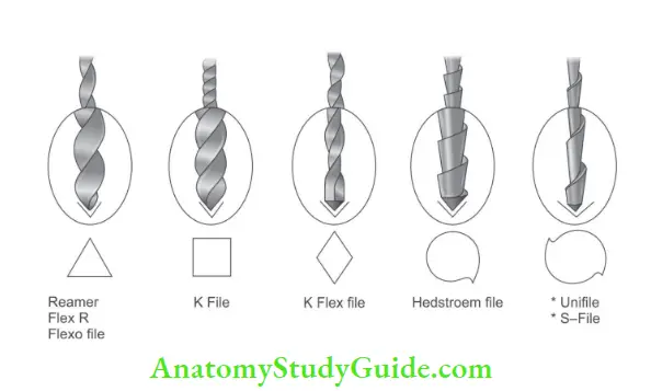 Endodontic Instruments cross section of diffrent fies.