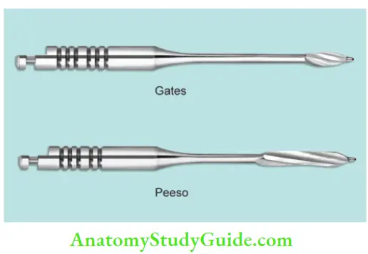 Endodontic Instruments diffrence in head design of Gates Glidden and Peesso reamer.