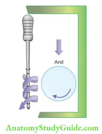 Endodontic Instruments working of reamerpenetration, rotation and retraction.
