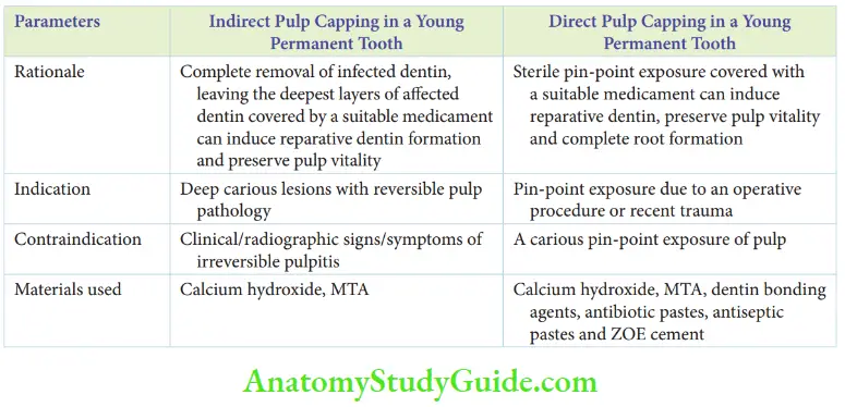 Endodontic Treatment Of Young Permanent Teeth Pulp Capping
