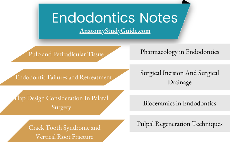 Endodontics Notes