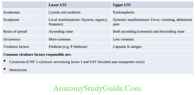 Enterobacteriaceae Differences between lower UTI and upper UTI