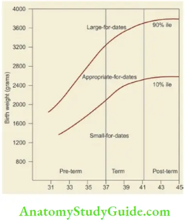 Examination Of A Newborn Baby Intrauterine Growth Chart To Classify The Babies At Birth