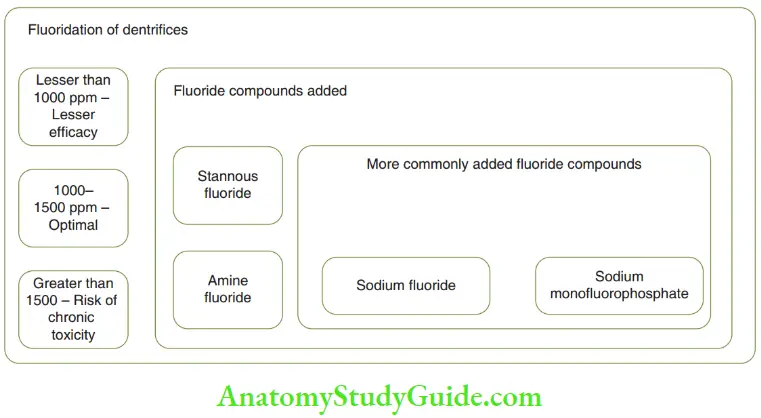 Fluorides Fluoride Dentifrices Compounds And Concentrations