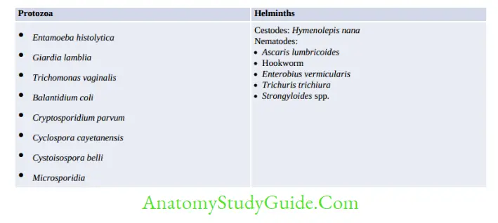 General Parasitology Direct Simple life cycle—parasites that require only one host (man)