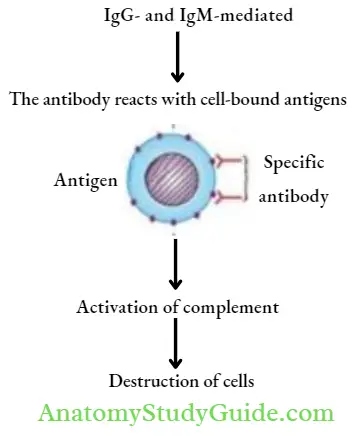 General Pharmacology Hypersensitivity Reaction