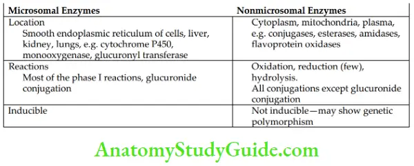 General Pharmacology Microsomal And Nonmicrosomal Enzymes