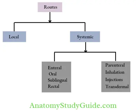 General Pharmacology Routes Of Drug Administration