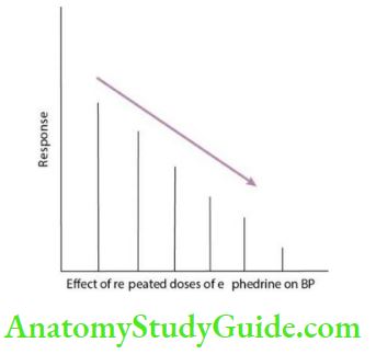 General Pharmacology Tachphylaxis And Blood Pressure