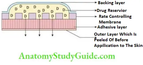 General Pharmacology Transdermal Drug Delivery System