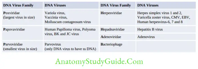 General Properties Of Viruses Notes CLASSIFICATION AND MORPHOLOGY OF VIRUSES
