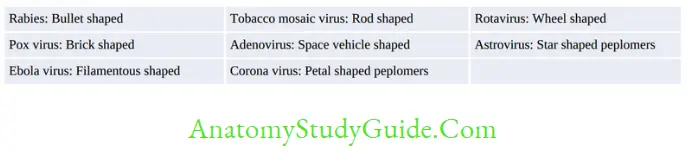 General Properties Of Viruses Notes Most of the viruses are roughly spherical except