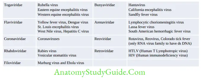 General Properties Of Viruses Notes RNA Viruses 1