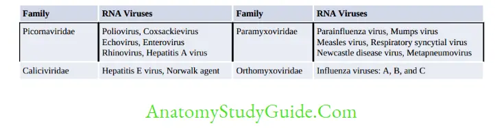 General Properties Of Viruses Notes RNA Viruses