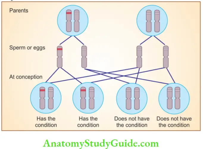 Genetics Autosomal dominant inheritance where one parent has the conditi