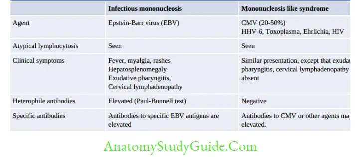 Herpesviruses And Other DNA Viruses Comparison of infectious mononucleosis and mononucleosis-like syndrom