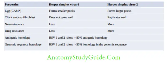 Herpesviruses And Other DNA Viruses Differences between HSV-1 and HSV-2 1