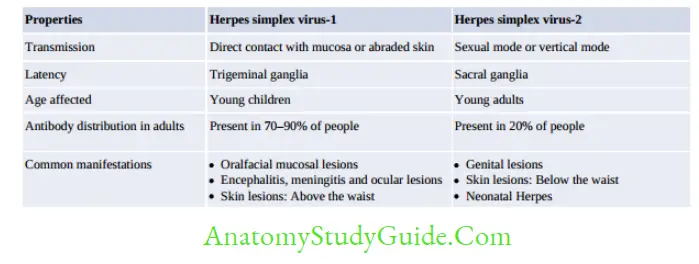 Herpesviruses And Other DNA Viruses Differences between HSV-1 and HSV-2
