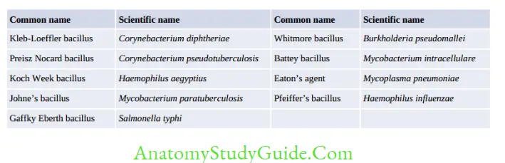 History, Taxonomy, Morphology and Physiology of Bacteria and Microbial Pathogenicity Common names of bacteria named after the discoverers