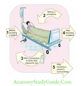 Hospital Acquired Infection, Biomedical Waste, Needle Stick Injury ...