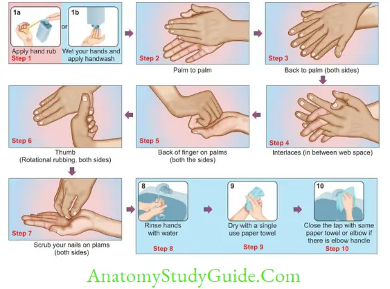 Hospital Acquired Infection, Biomedical Waste, Needle Stick Injury, Environmental Surveillance Steps of hand rubbing and handwashing (WHO) Hand rub step 1 to 7 (20–40 seconds)
